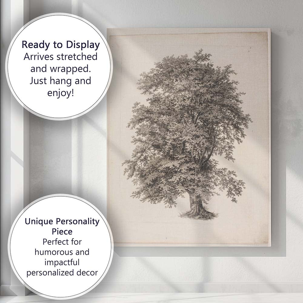 Antique Oak Tree Engraving Botanical Woodland Illustration Canvas Wall Art Print Decor Picture Ready to Hang