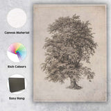 Antique Oak Tree Engraving Botanical Woodland Illustration Canvas Wall Art Print Decor Picture Ready to Hang