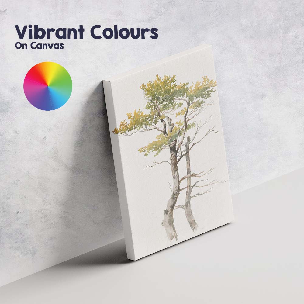 Minimalist Autumn Tree Study Delicate Botanical Watercolour Canvas Wall Art Print Decor Picture Ready to Hang
