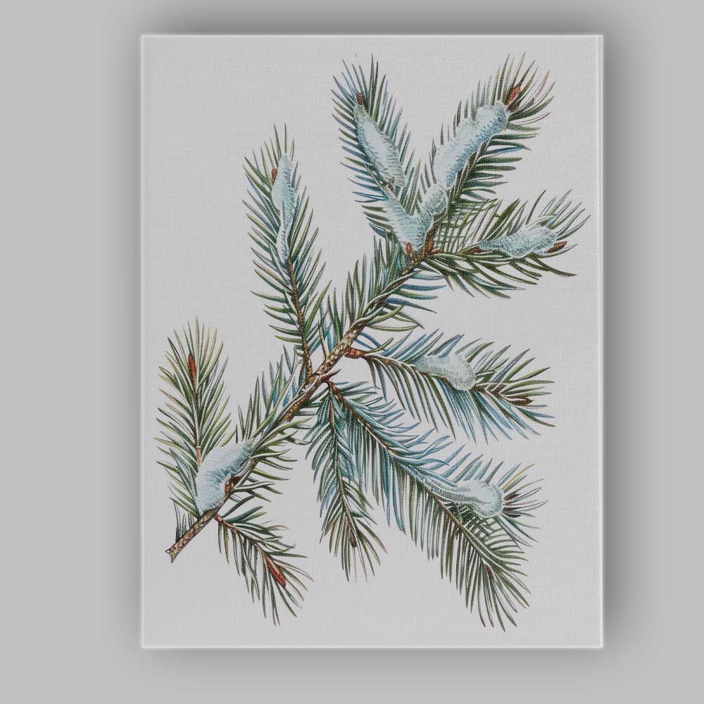 Snow Covered Spruce Branch Winter Botanical Watercolour Canvas Wall Art Print Decor Picture Ready to Hang