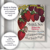 Antique Strawberry Raspberry Fruit Growers Botanical Catalogue Illustration Canvas Wall Art Print Decor Picture Ready to Hang