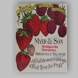 Antique Strawberry Raspberry Fruit Growers Botanical Catalogue Illustration Canvas Wall Art Print Decor Picture Ready to Hang
