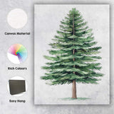 Watercolour Evergreen Fir Tree Botanical Woodland Nature Illustration Canvas Wall Art Print Decor Picture Ready to Hang