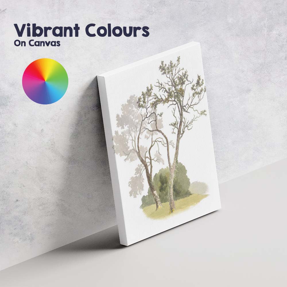 Elegant Watercolour Garden Trees Nature Landscape Canvas Wall Art Print Decor Picture Ready to Hang