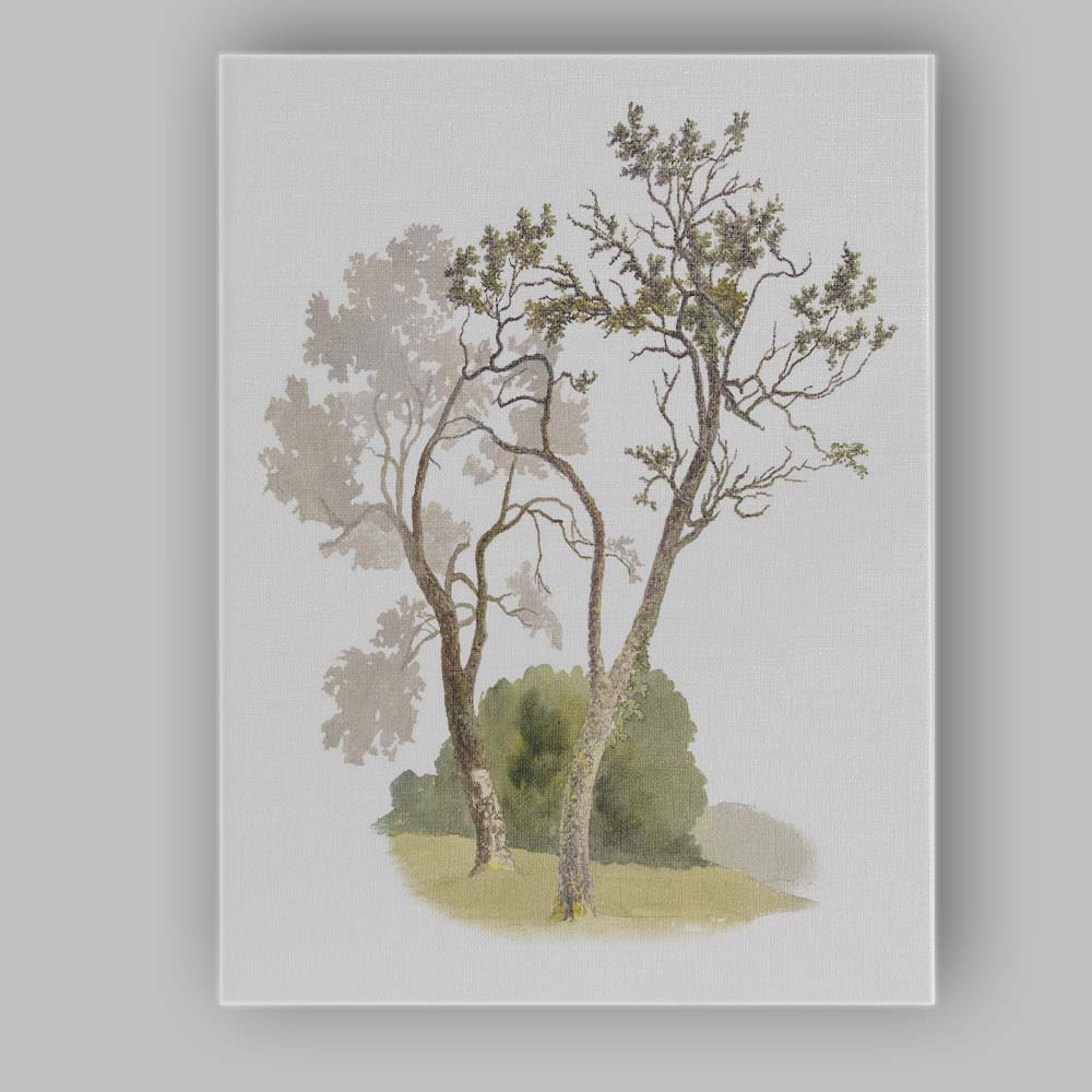 Elegant Watercolour Garden Trees Nature Landscape Canvas Wall Art Print Decor Picture Ready to Hang