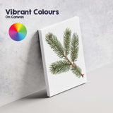 Evergreen Fir Branch Detailed Botanical Woodland Illustration Canvas Wall Art Print Decor Picture Ready to Hang