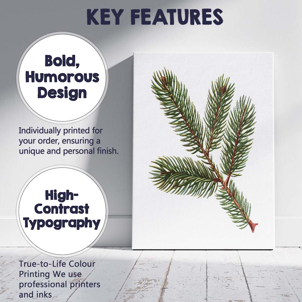 Evergreen Fir Branch Detailed Botanical Woodland Illustration Canvas Wall Art Print Decor Picture Ready to Hang