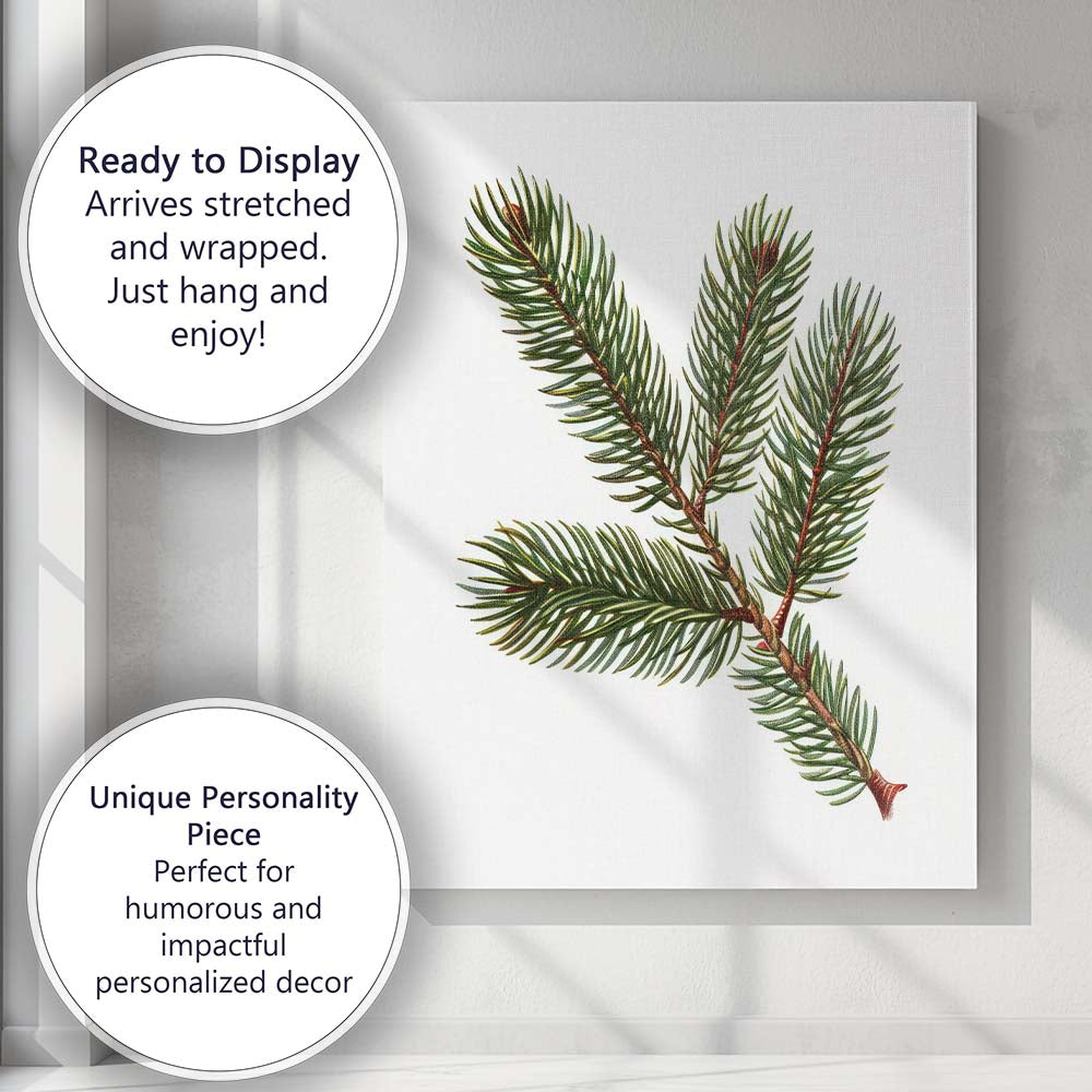 Evergreen Fir Branch Detailed Botanical Woodland Illustration Canvas Wall Art Print Decor Picture Ready to Hang