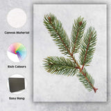 Evergreen Fir Branch Detailed Botanical Woodland Illustration Canvas Wall Art Print Decor Picture Ready to Hang