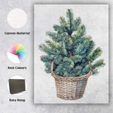 Blue Spruce Tree In Wicker Basket Watercolour Botanical Art Canvas Wall Art Print Decor Picture Ready to Hang