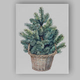 Blue Spruce Tree In Wicker Basket Watercolour Botanical Art Canvas Wall Art Print Decor Picture Ready to Hang