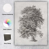 Detailed Botanical Oak Tree Illustration Monochrome Engraving Canvas Wall Art Print Decor Picture Ready to Hang