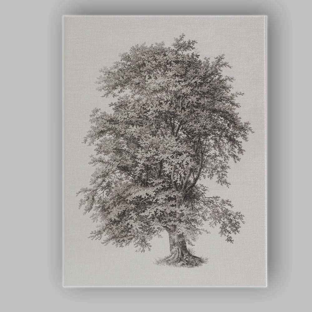 Detailed Botanical Oak Tree Illustration Monochrome Engraving Canvas Wall Art Print Decor Picture Ready to Hang