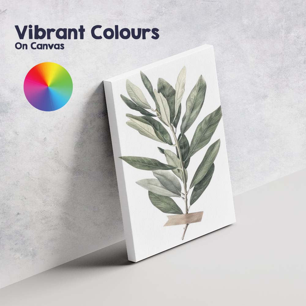 Elegant Green Olive Leaf Botanical Study Canvas Wall Art Print Decor Picture Ready to Hang