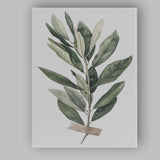 Elegant Green Olive Leaf Botanical Study Canvas Wall Art Print Decor Picture Ready to Hang