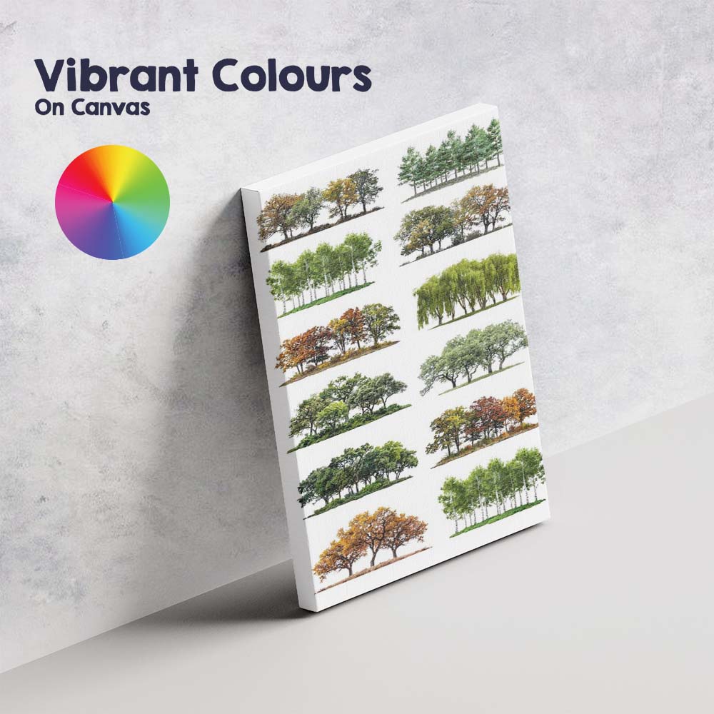 Mixed Woodland Tree Cluster Botanical Landscape Collection Canvas Wall Art Print Decor Picture Ready to Hang