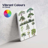Green Tree Variety Botanical Forest Vector Illustration Canvas Wall Art Print Decor Picture Ready to Hang