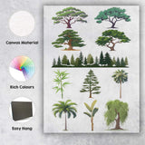 Green Tree Variety Botanical Forest Vector Illustration Canvas Wall Art Print Decor Picture Ready to Hang