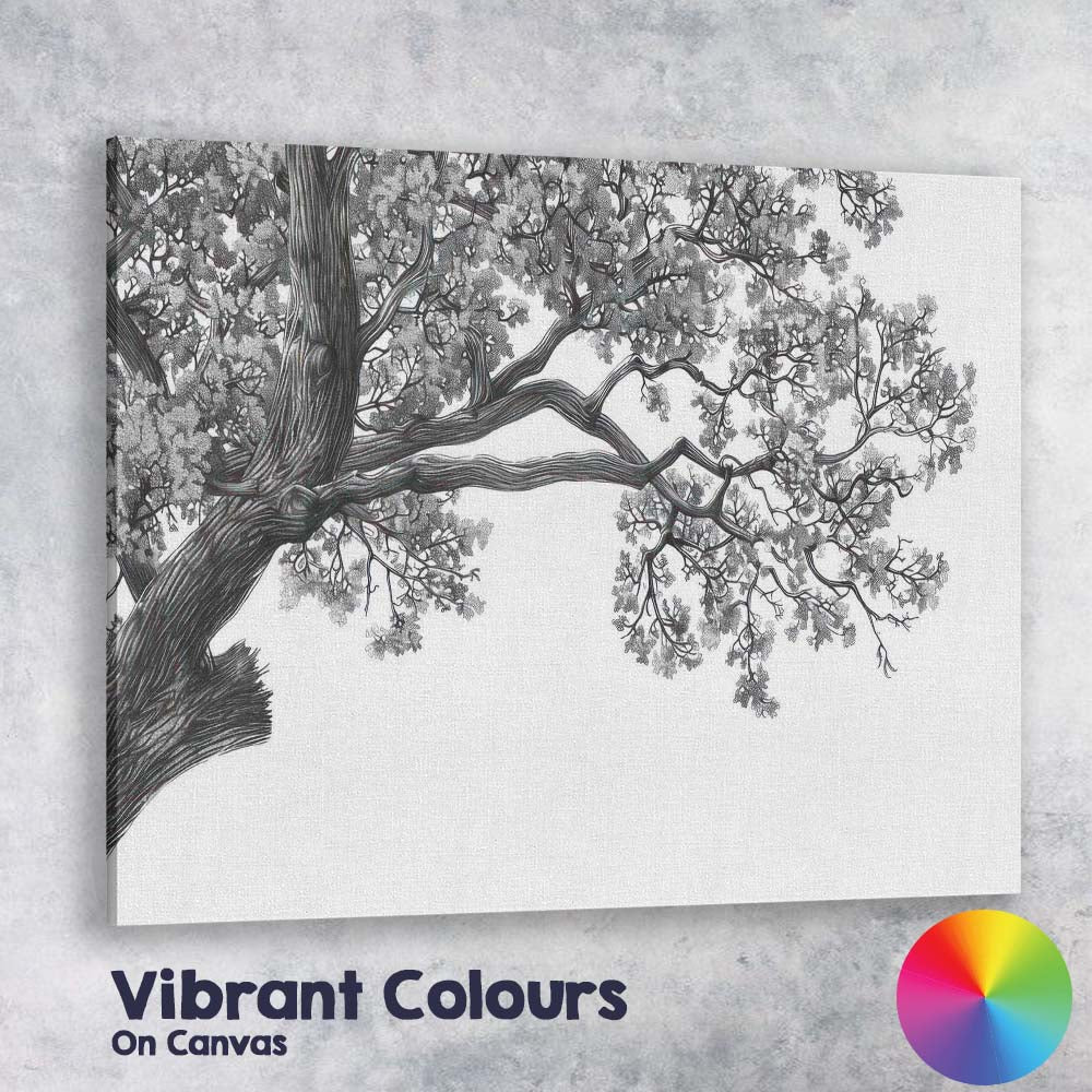 Monochrome Oak Tree Branch Canopy Detailed Nature Drawing Canvas Wall Art Print Decor Picture Ready to Hang
