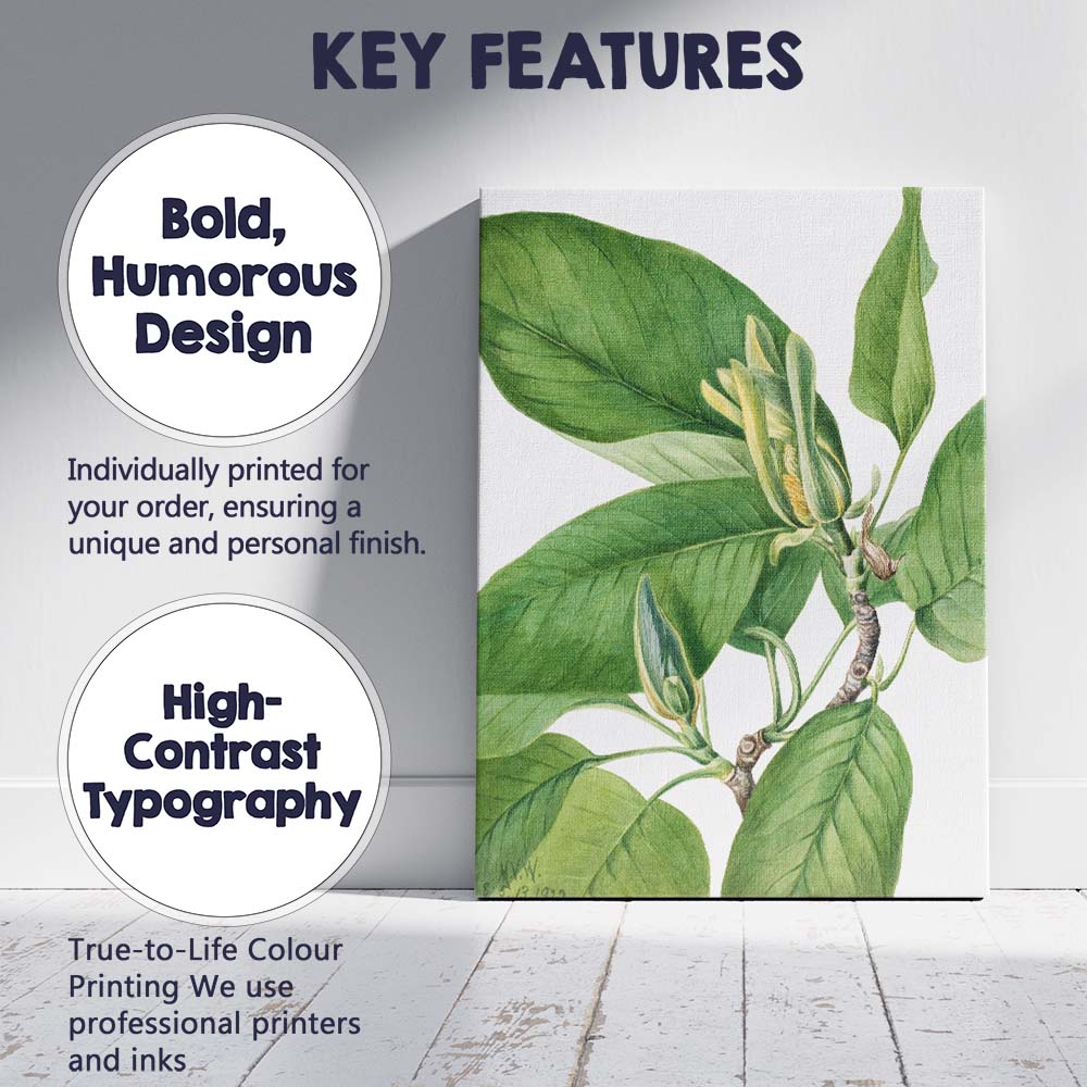 Green Magnolia Foliage Botanical Watercolour Plant Study Canvas Wall Art Print Decor Picture Ready to Hang