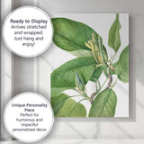 Green Magnolia Foliage Botanical Watercolour Plant Study Canvas Wall Art Print Decor Picture Ready to Hang