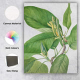 Green Magnolia Foliage Botanical Watercolour Plant Study Canvas Wall Art Print Decor Picture Ready to Hang