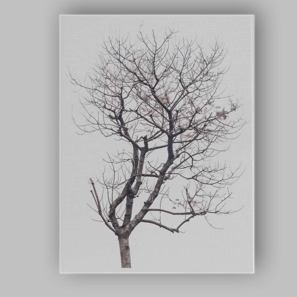 Frost Covered Winter Bare Tree Silhouette Woodland Nature Canvas Wall Art Print Decor Picture Ready to Hang