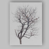 Frost Covered Winter Bare Tree Silhouette Woodland Nature Canvas Wall Art Print Decor Picture Ready to Hang