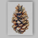Watercolour Pine Cone Woodland Botanical Nature Study Canvas Wall Art Print Decor Picture Ready to Hang