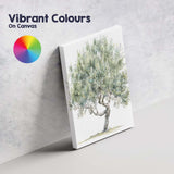 Soft Green Olive Tree Watercolour Rustic Mediterranean Landscape Canvas Wall Art Print Decor Picture Ready to Hang