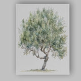 Soft Green Olive Tree Watercolour Rustic Mediterranean Landscape Canvas Wall Art Print Decor Picture Ready to Hang