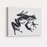 Contemporary Black Tree Frog Wildlife Illustration Artistic Nature Canvas Wall Art Print Decor Picture Ready to Hang