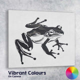 Contemporary Black Tree Frog Wildlife Illustration Artistic Nature Canvas Wall Art Print Decor Picture Ready to Hang