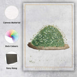 Antique Botanical Arenaria Balearica Wildflower Study Watercolour Illustration Canvas Wall Art Print Decor Picture Ready to Hang