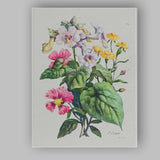 Antique Floral Botanical Bouquet With Pink And Yellow Flowers Illustration Canvas Wall Art Print Decor Picture Ready to Hang