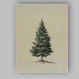 Antique Evergreen Fir Tree Botanical Illustration Canvas Wall Art Print Decor Picture Ready to Hang