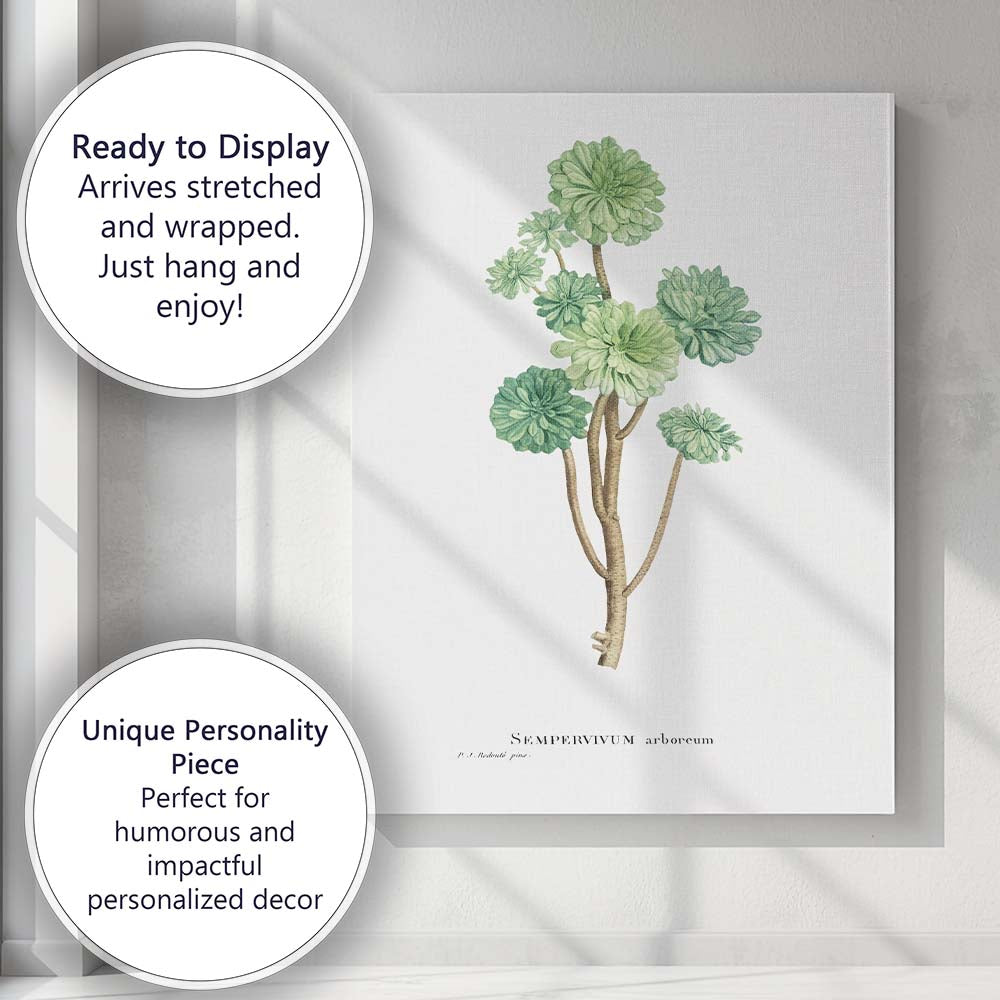 Antique Sempervivum Arboreum Botanical Plant Illustration Canvas Wall Art Print Decor Picture Ready to Hang
