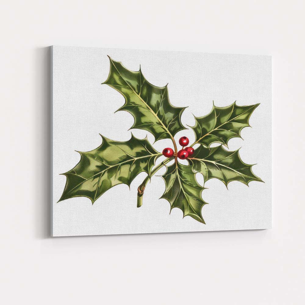 Classic Holly Leaves and Red Berries Botanical Christmas Illustration Canvas Wall Art Print Decor Picture Ready to Hang